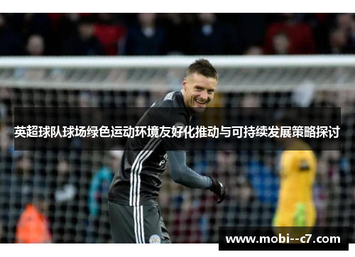 英超球队球场绿色运动环境友好化推动与可持续发展策略探讨 英超球队球场绿色运动环境友好化推动与可持续发展策略探讨
