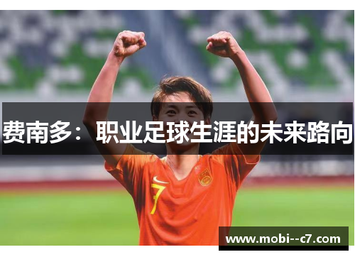 费南多:职业足球生涯的未来路向 费南多:职业足球生涯的未来路向