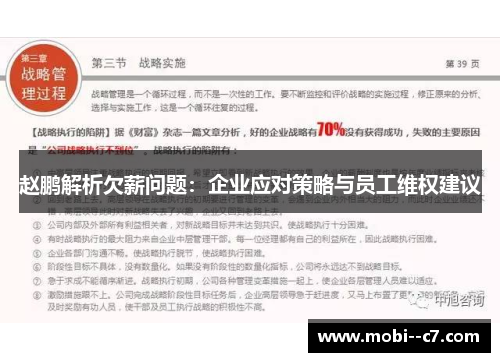 赵鹏解析欠薪问题:企业应对策略与员工维权建议 赵鹏解析欠薪问题:企业应对策略与员工维权建议