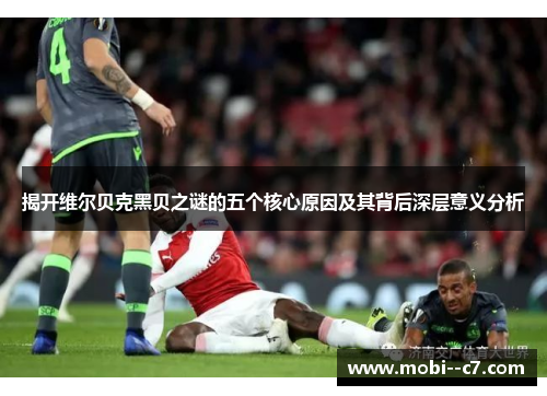揭开维尔贝克黑贝之谜的五个核心原因及其背后深层意义分析