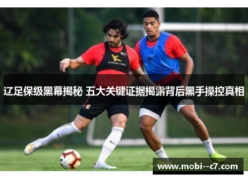 辽足保级黑幕揭秘 五大关键证据揭露背后黑手操控真相 辽足保级黑幕揭秘 五大关键证据揭露背后黑手操控真相
