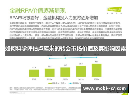 如何科学评估卢库米的转会市场价值及其影响因素 如何科学评估卢库米的转会市场价值及其影响因素
