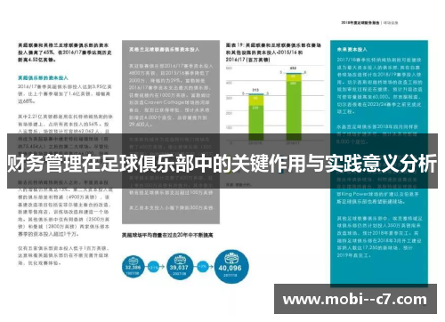 财务管理在足球俱乐部中的关键作用与实践意义分析 财务管理在足球俱乐部中的关键作用与实践意义分析