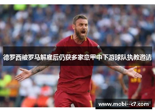 德罗西被罗马解雇后仍获多家意甲中下游球队执教邀请